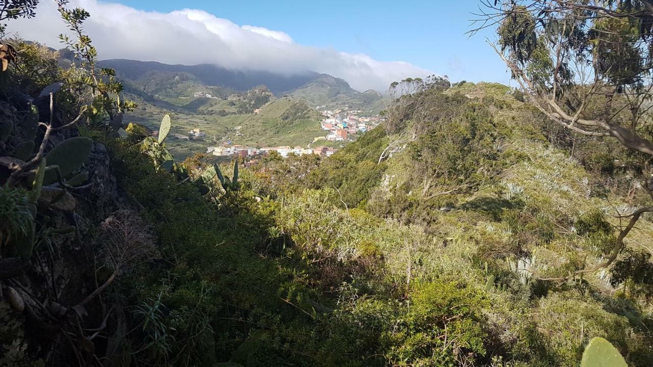 La Casita De Omar En El Corazon De Anaga Y La Laguna Las Mercedes Exteriör bild