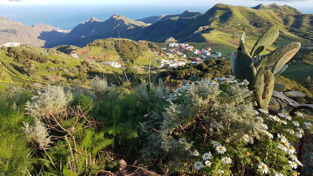 La Casita De Omar En El Corazon De Anaga Y La Laguna Las Mercedes Exteriör bild