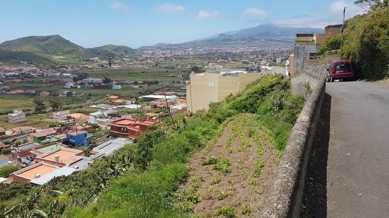 La Casita De Omar En El Corazon De Anaga Y La Laguna Las Mercedes Exteriör bild