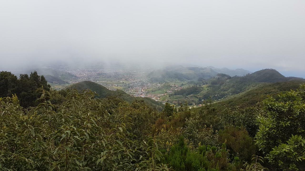 La Casita De Omar En El Corazon De Anaga Y La Laguna Las Mercedes Exteriör bild