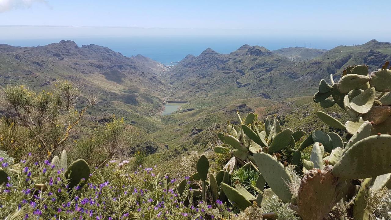 La Casita De Omar En El Corazon De Anaga Y La Laguna Las Mercedes Exteriör bild