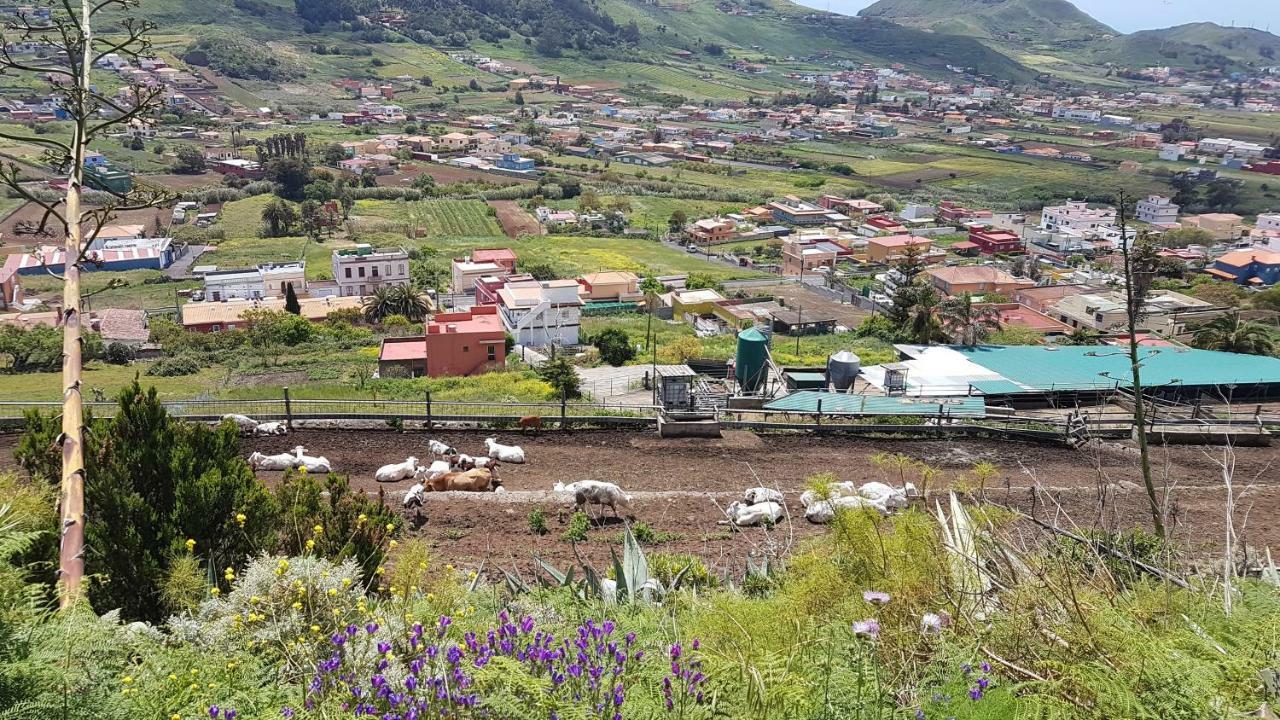 La Casita De Omar En El Corazon De Anaga Y La Laguna Las Mercedes Exteriör bild